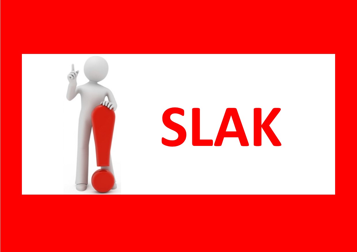 SLaK