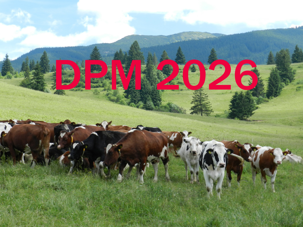 DPM 2026